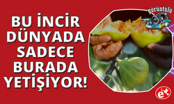 Turgutlu'nun Yediveren iicirinde fiyatlar yeniden tavan yaptı!
