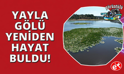 Süleymanlı Yayla Gölü yeniden hayat buldu