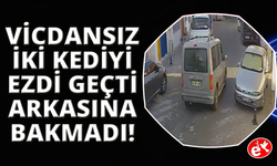 İki sokak kedisini ezdi, arkasına bile bakmadan uzaklaştı