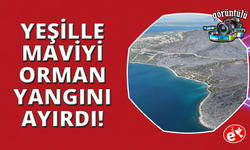 Muğla'da yeşil örtü, karaya döndü