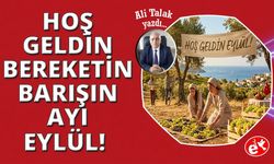 Eylül: Sarı Yazın, Hasadın ve Barışın İzdüşümü