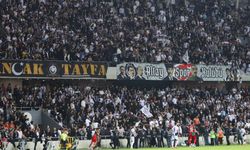 Altay, kayyımla karşı karşıya