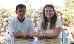 Yuntdağı’nda fıstık hasadı için geri sayım başladı