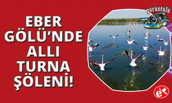Eber Gölü'nde 'Allı Turna' şöleni
