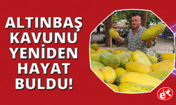 Tavan arasından çıkan tohumlar Altınbaş Kavununu yeniden canlandırdı
