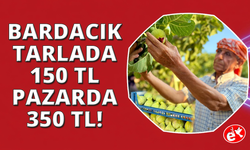 İzmir'de "Bardacık İnciri"mevsimi başladı