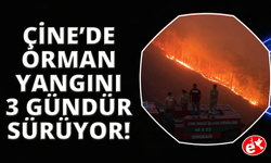 Çine yangınında alevlerle mücadele 3 gündür devam ediyor