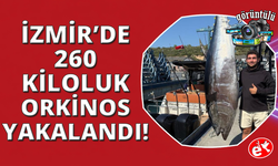 İzmir'de 260 kiloluk dev orkinos yakalandı