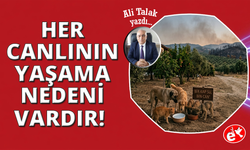 Doğanın Dengesi ve Can Dostlarımız