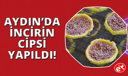 Aydın'dan dünyaya yayılan lezzet: İncir Cipsi