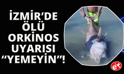 Uzmanlardan ölü orkinos uyarısı: "Sakın yemeyin"