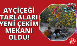 Manisa'da tarlada "açık hava fotoğraf stüdyosu"