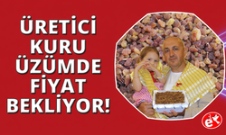 Manisa'da üretici kuru üzüm fiyatını bekliyor