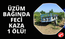 Manisa'da traktörün altında kalan kadın hayatını kaybetti