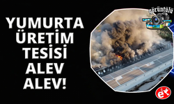 Manisa'da alevler yumurta üretim tesisini küle çevirdi