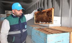 Manisa’da arıcıların peteklerine eksi 30 derecelik koruma