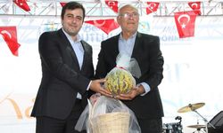 Ayvatlar’da 2. Kavun Festivali gerçekleştirildi