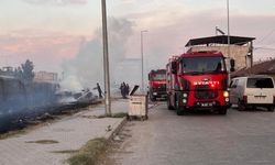 Yerleşim yerlerine yakın bölgede çıkan yangın korkuttu