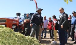 Yatağan'da hasat şenliği düzenlendi