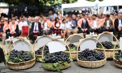 Kavacık Üzüm Festivali'ne coşkulu açılış