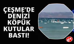Çeşme’de denizi köpük kutular bastı