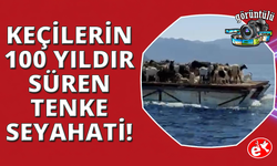 Keçilerin 'Mavi yolculuğu' 100 yıldır sürüyor