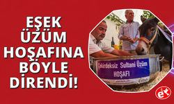 Üzüm tüketimine dikkat çekmek için ‘hoşaflı' ve ‘eşekli' ironi