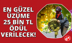 Manisa'da üzümün güzel ve lezzetli diyen bu yarışmaya katılsın