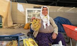 Çivril’in meşhur Koçak üzümü tezgâhlarda