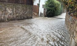 Bodrum'da sağanakla birlikte dereler taştı