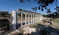 Teos’un taşları 2 bin 200 yıllık tarihi gün yüzüne çıkarıyor