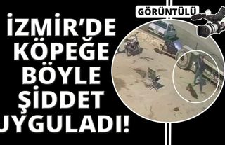 İzmir’de köpeğe hortumlu, sandalyeli ve kürekli saldırı 