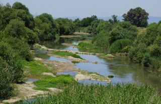 Batı Anadolu'nun en büyük nehri suya hasret kaldı
