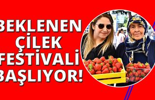 İzmir'de Çilek Festivali binlerce kişiyi buluşturacak