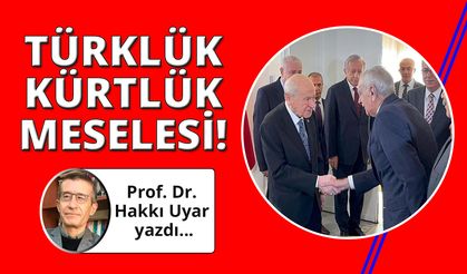Türklük-Kürtlük Meselesi