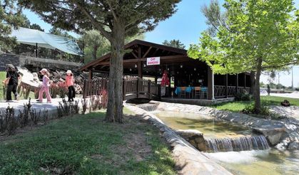 Kefe Yaylası doğa tutkunlarını bekliyor