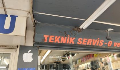 Arılar Denizli şehir merkezini istila etti