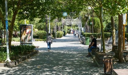 Manisa kavurucu sıcaklara teslim oldu