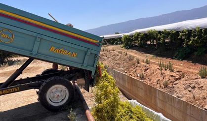 Sarıgöl’de çıkma üzüm 16 TL’ye yükseldi