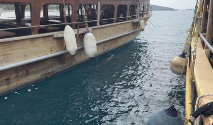 Bodrum iskelede fok sürprizi