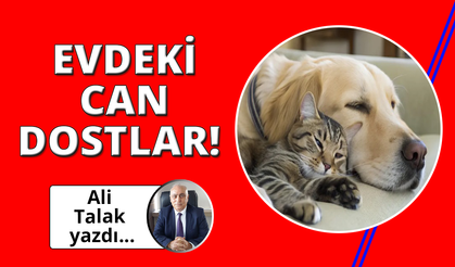 Evdeki Can Dostlarımız!