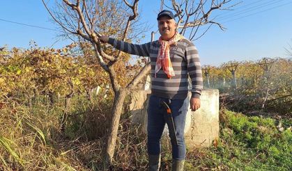 Çiftçinin mesaisi kışın da sürüyor