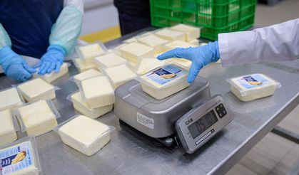 İzmir Büyükşehir'den peynir hamlesi