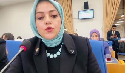 Denizli Milletvekili Ün kayıp 104 bin çocuğu sordu