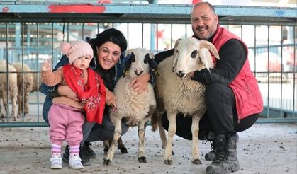 Denizli Büyükşehirden üreticiye "Bereketli" destek