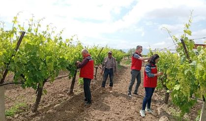 Manisa’da tarım denetimleri hız kesmiyor
