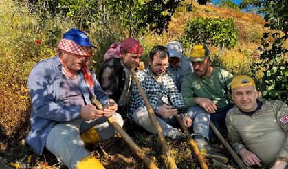 Tarlada mesaiye milli maç arası