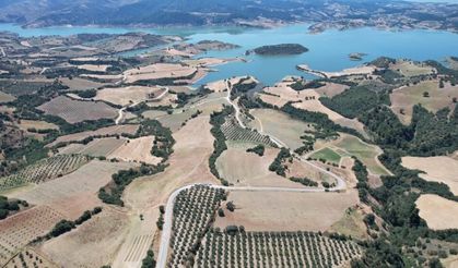 Manisa'da baraj çevresi bal ormanına dönüşüyor