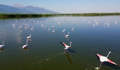 Eber Gölü'nde 'Allı Turna' şöleni