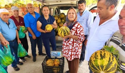 Bu kavun tek damla su verilmeden yetişiyor